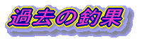 ߋ̒މ