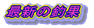 ŐV̒މ